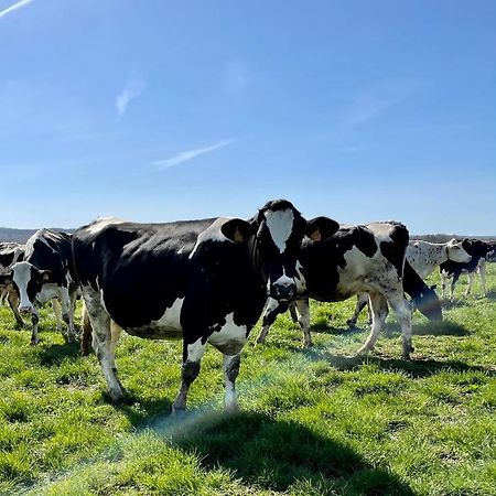 Chambre A La Ferme Precy-le-Sec Exteriér fotografie